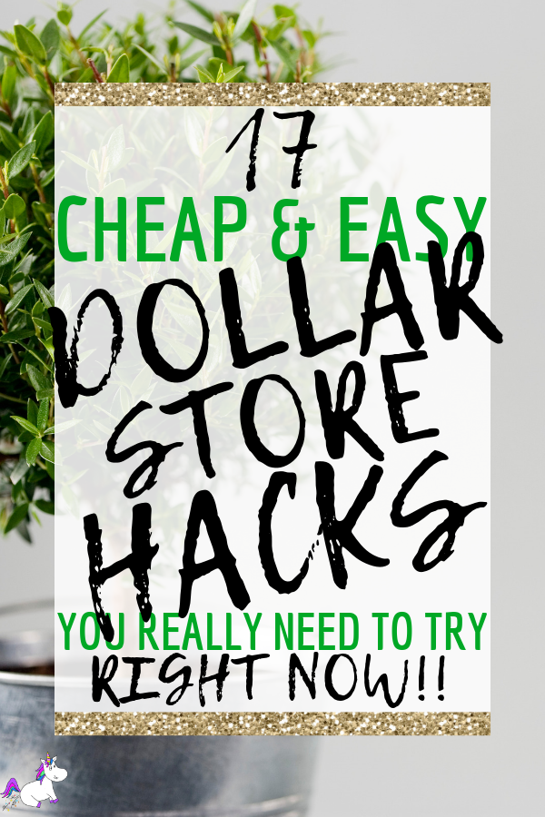 Why everyone is grabbing CHEAP ROPE from the Dollar Tree! GENIUS! 