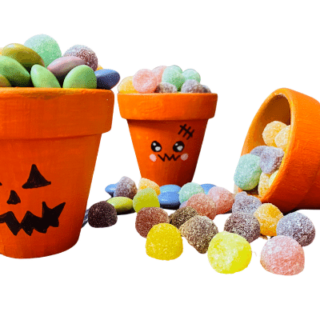 DIY Halloween Flower Pots with a Pumpkin Face Design