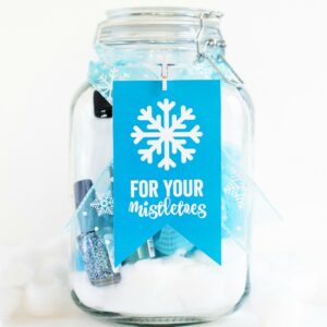 62 Mason Jar Christmas Crafts You Need To See! - The Mummy Front