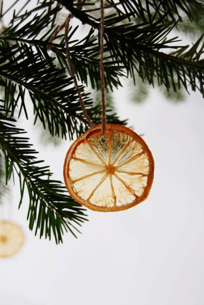 A dried citrus decoration hanging from a branch