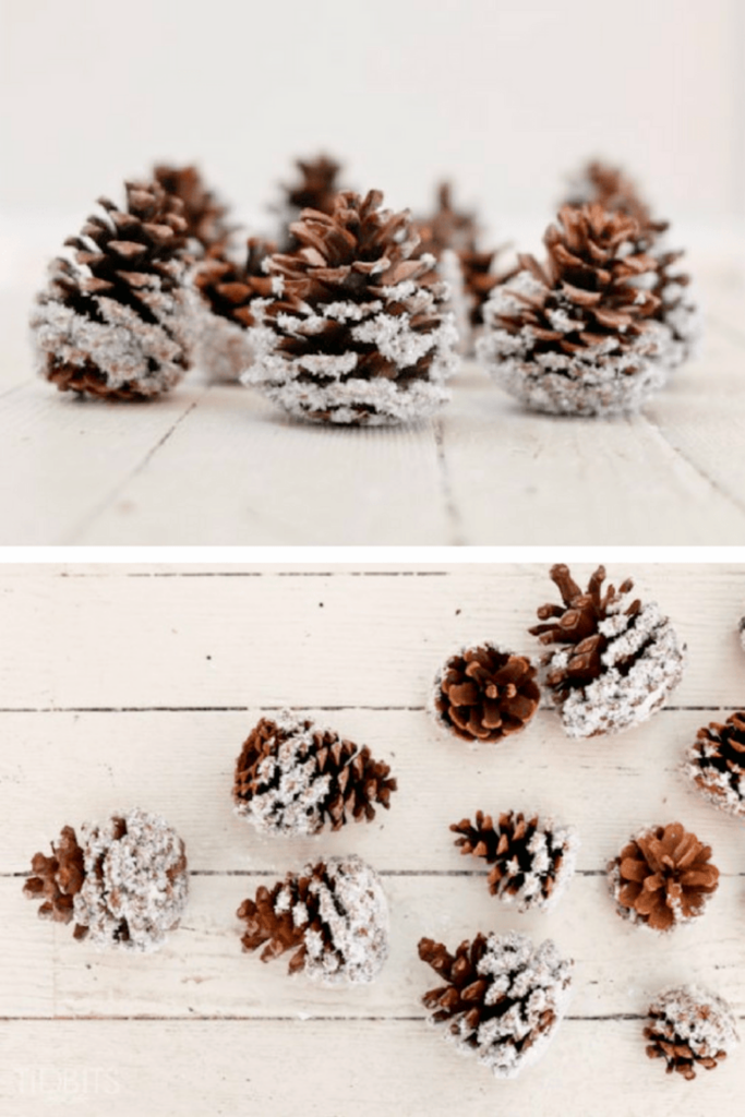 Artificial snow covered pine cones