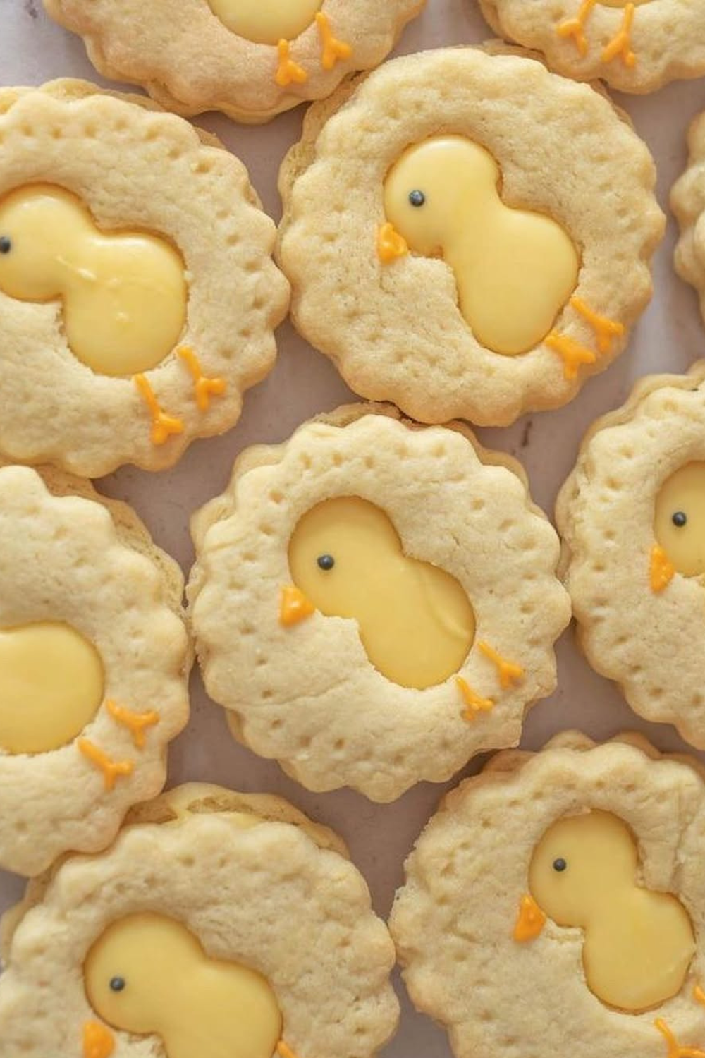 Round sugar cookies featuring yellow baby chick designs with orange beaks and tiny feet.