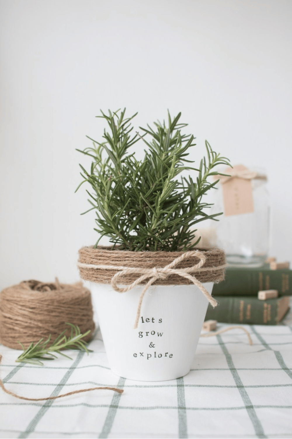 Twine-wrapped plant pot with greenery and rustic charm