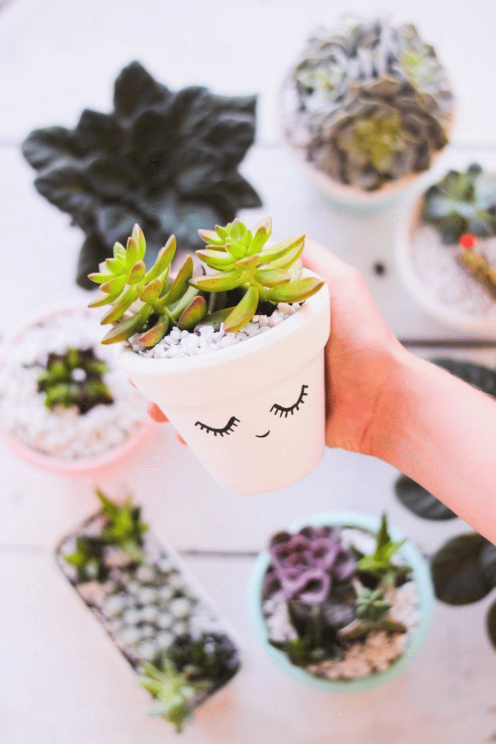 Cute hand-painted succulent planter with face and lashes