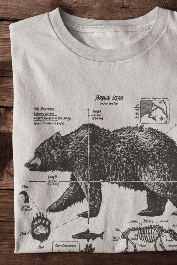 Folded graphic t-shirt featuring brown bear anatomy illustration