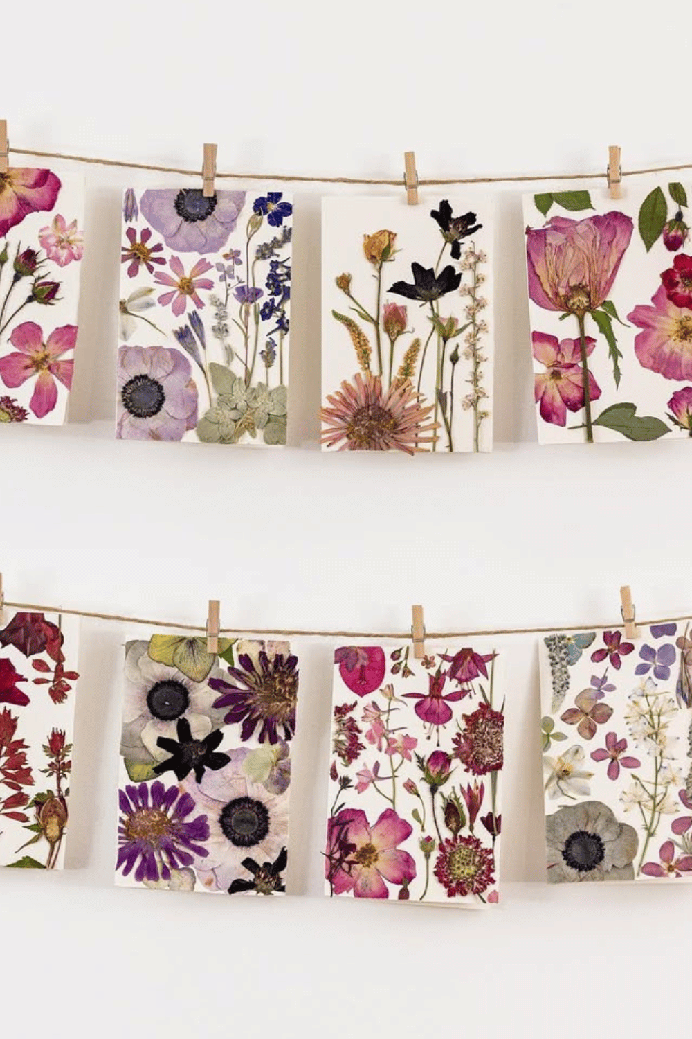 Dried flower wall art displayed on twine with mini clothespins