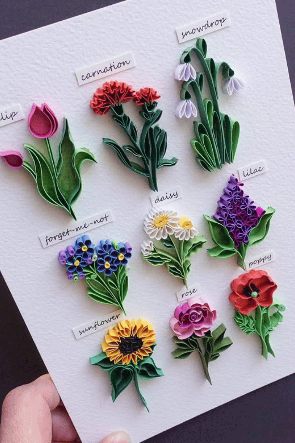 Quilled paper flower art featuring various labeled blossoms