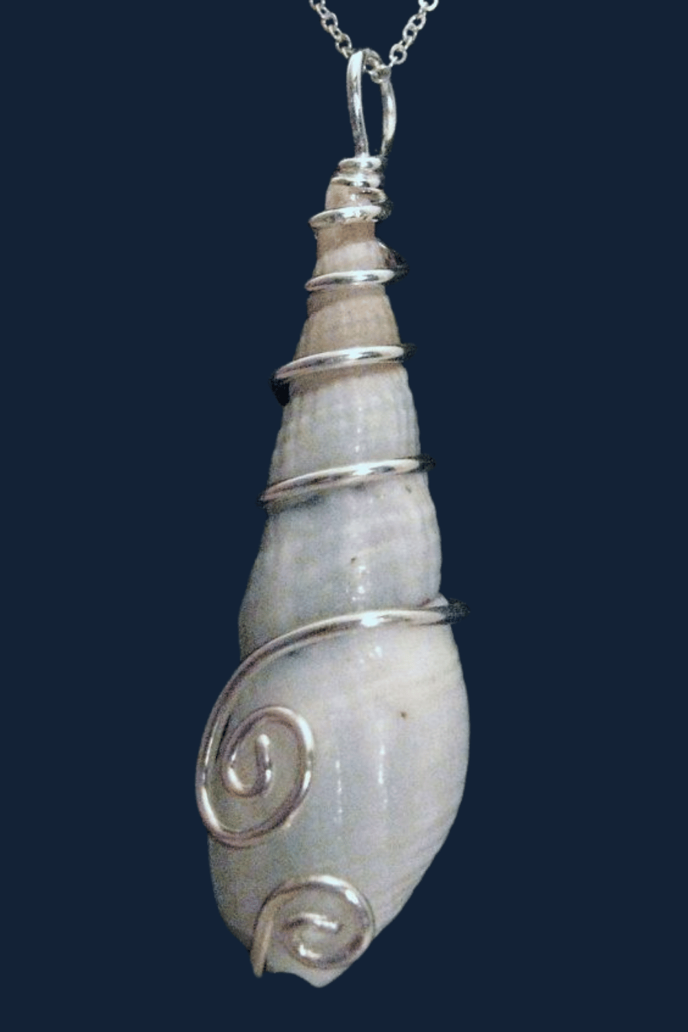 Seashell wrapped in silver wire as a handmade pendant