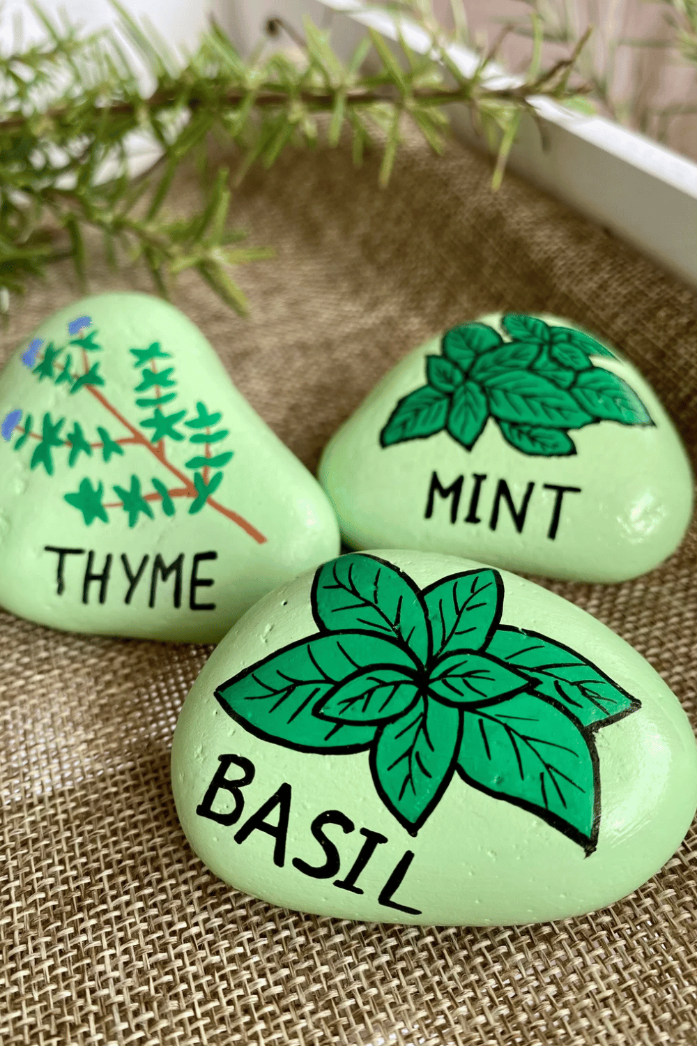 Painted rock herb garden markers labeled thyme, mint, and basil