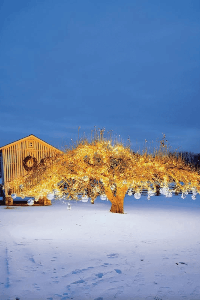 Bare outdoor tree decorated with glass baubles and string lights