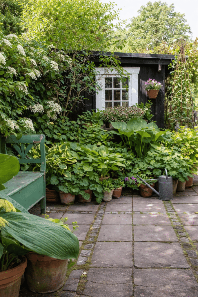 Small cottage garden