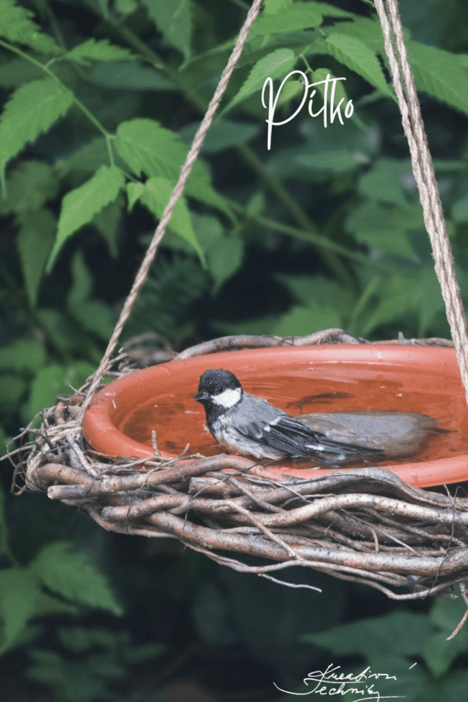 Spring Crafts for Adults to Make