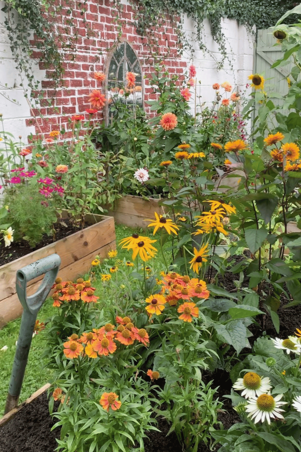 How to Start a Cut Flower Garden For Beginners - The Mummy Front