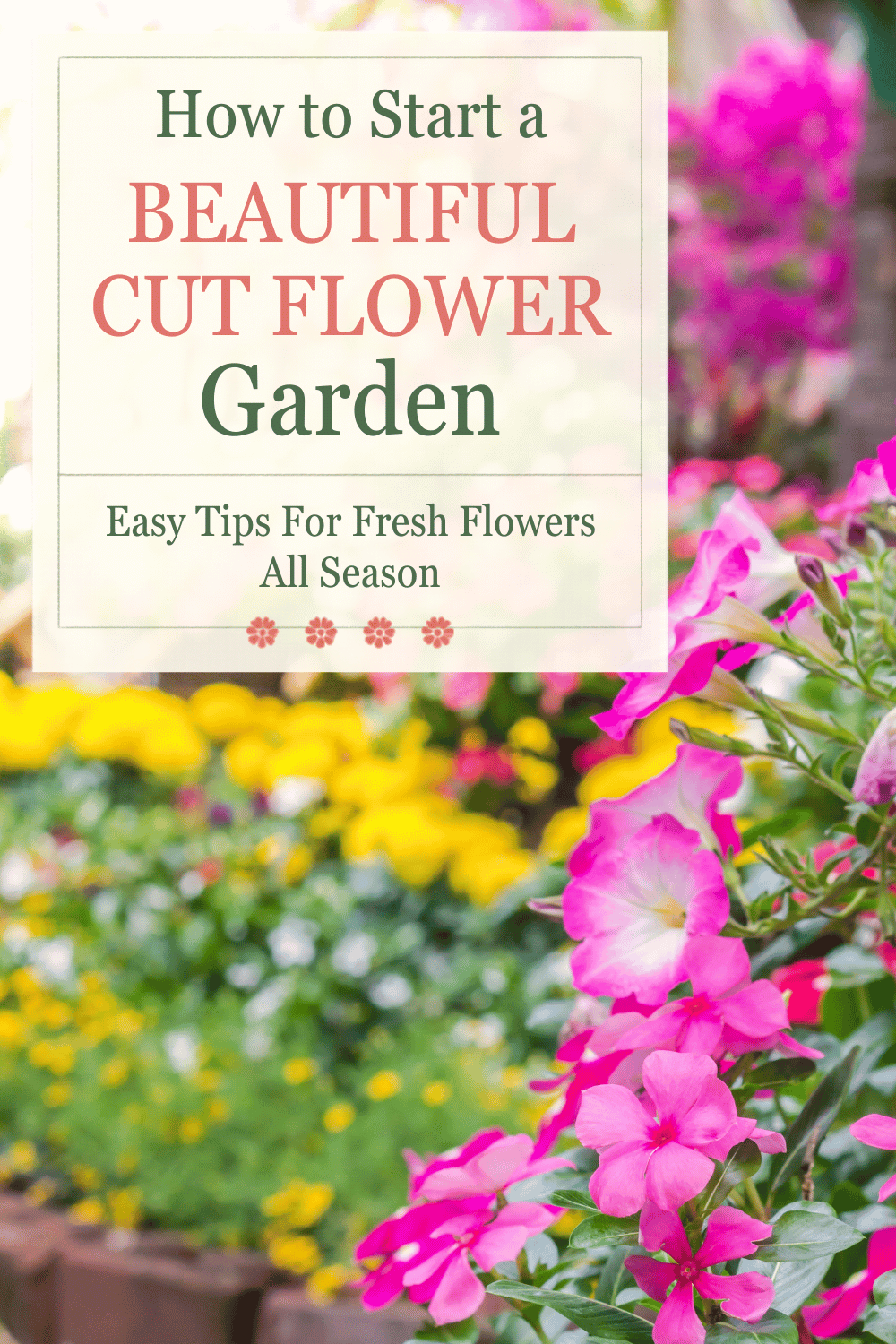 How to Start a Cut Flower Garden For Beginners - The Mummy Front