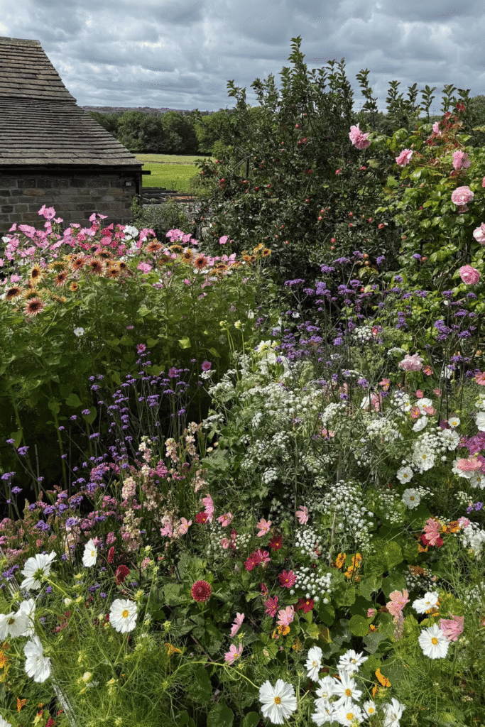 Cut flower garden guide