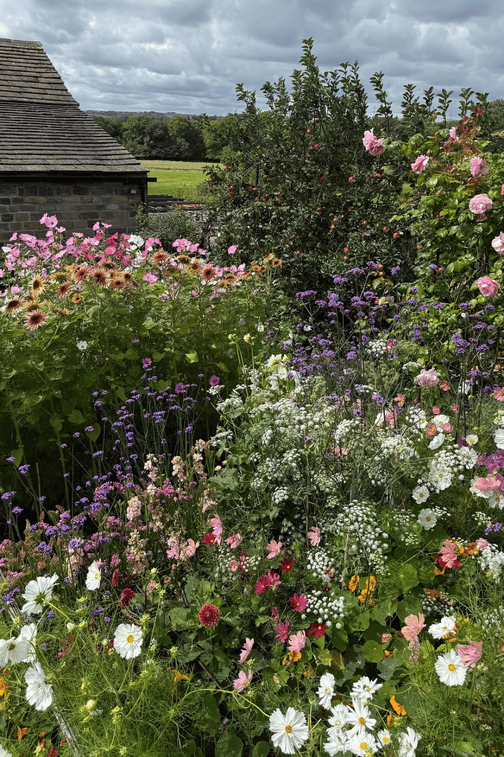 How to Start a Cut Flower Garden For Beginners - The Mummy Front