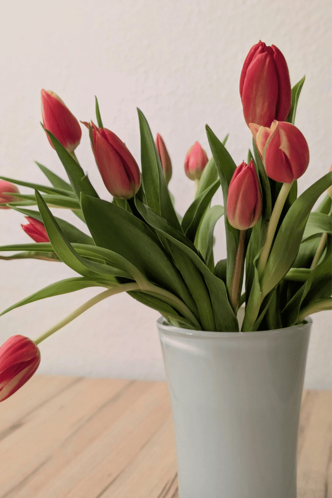 Cut flower garden guide