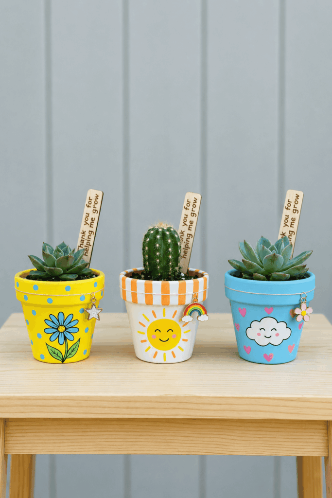 Painted flower pots 