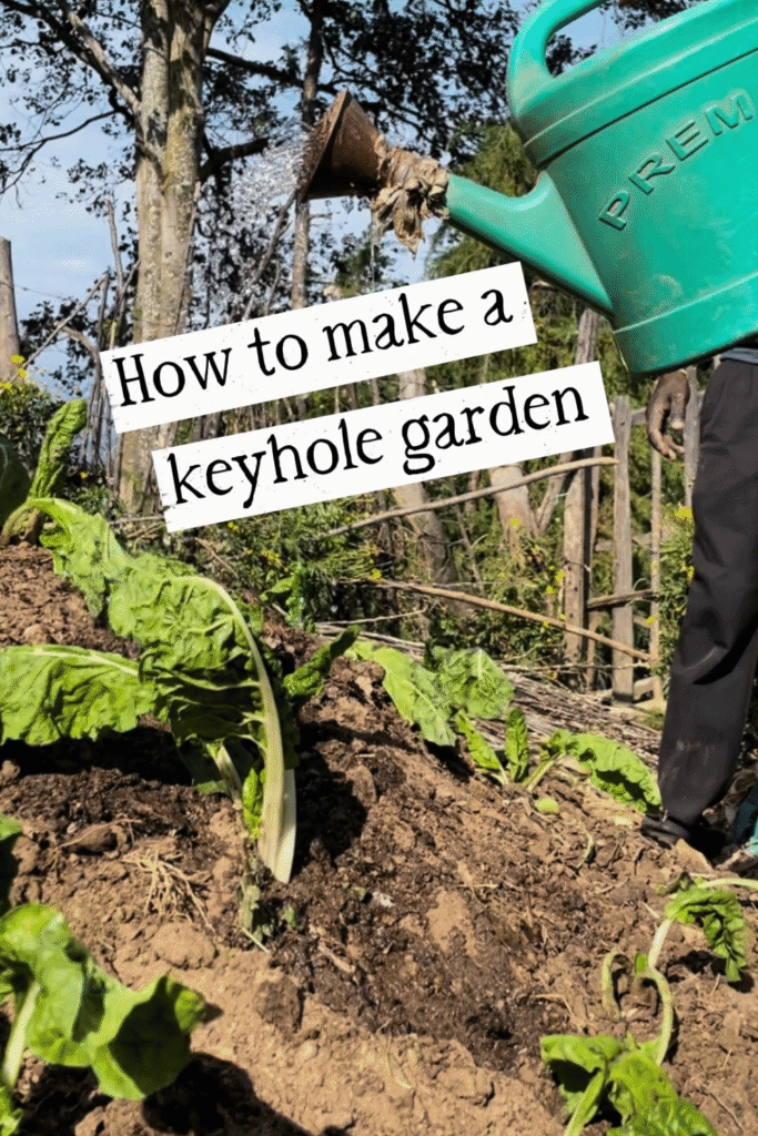 Small vegetable garden ideas