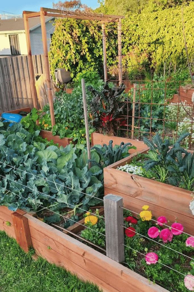 Small vegetable garden ideas