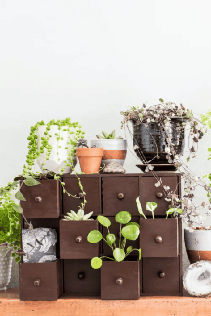 Ikea Plant Hacks