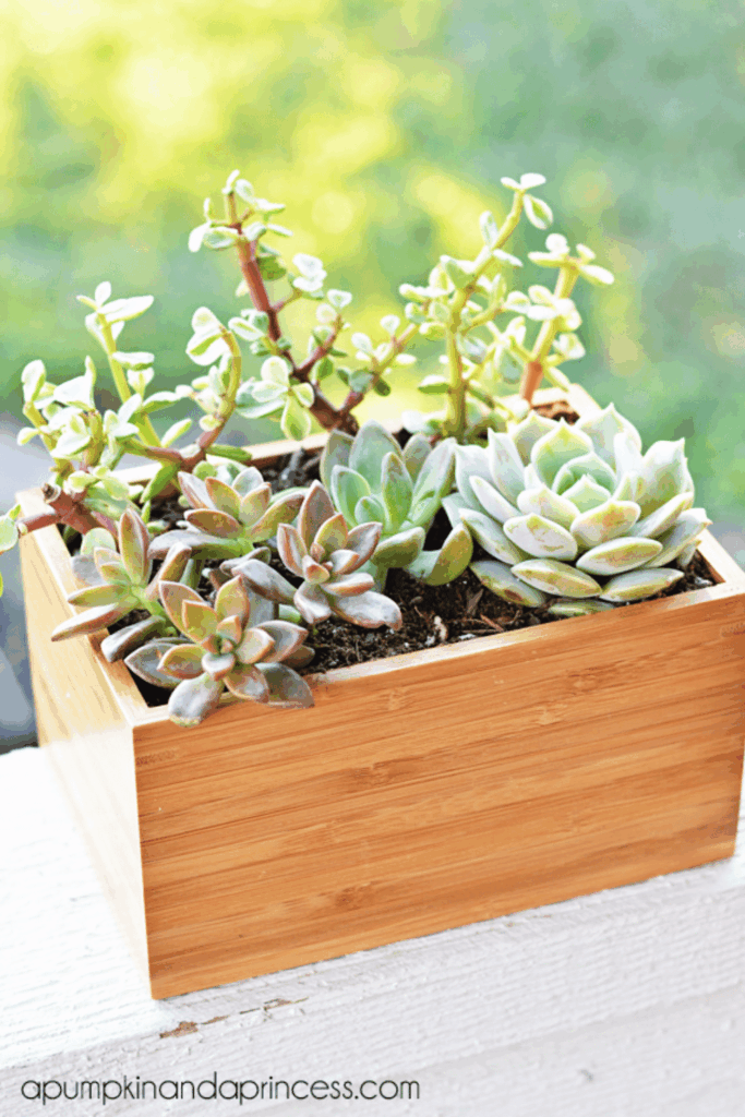 Ikea Plant Hacks