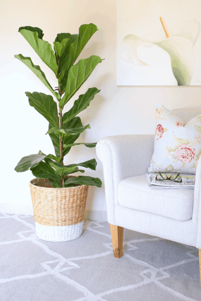 Ikea Plant Hacks
