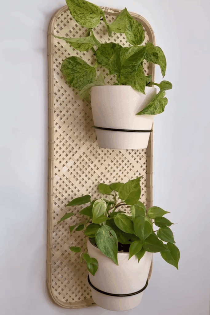 Ikea Plant Hacks