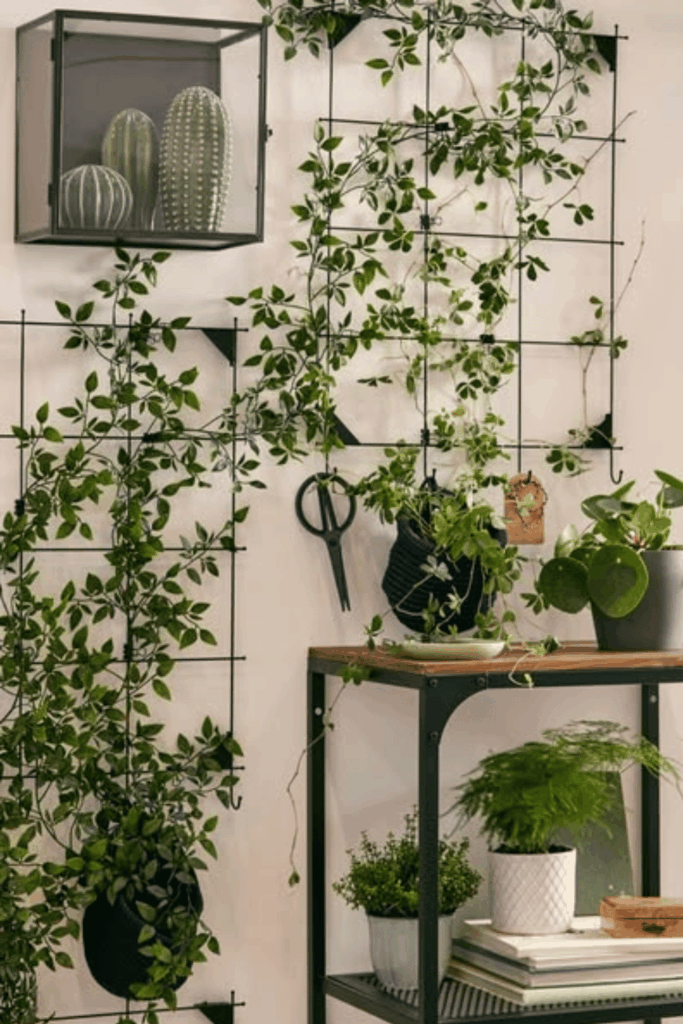 plant wall shelf ideas