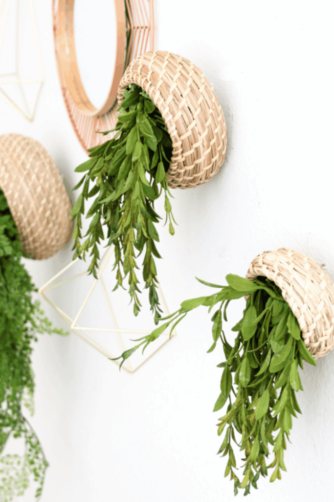 plant wall shelf ideas