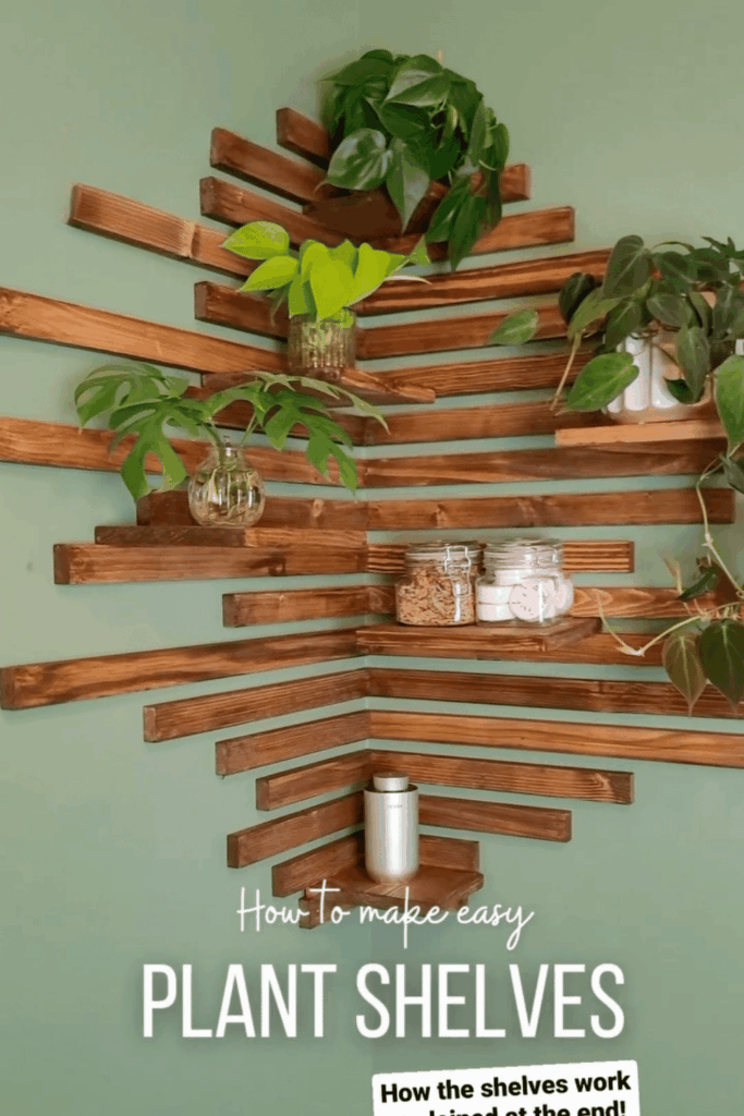 plant wall shelf ideas