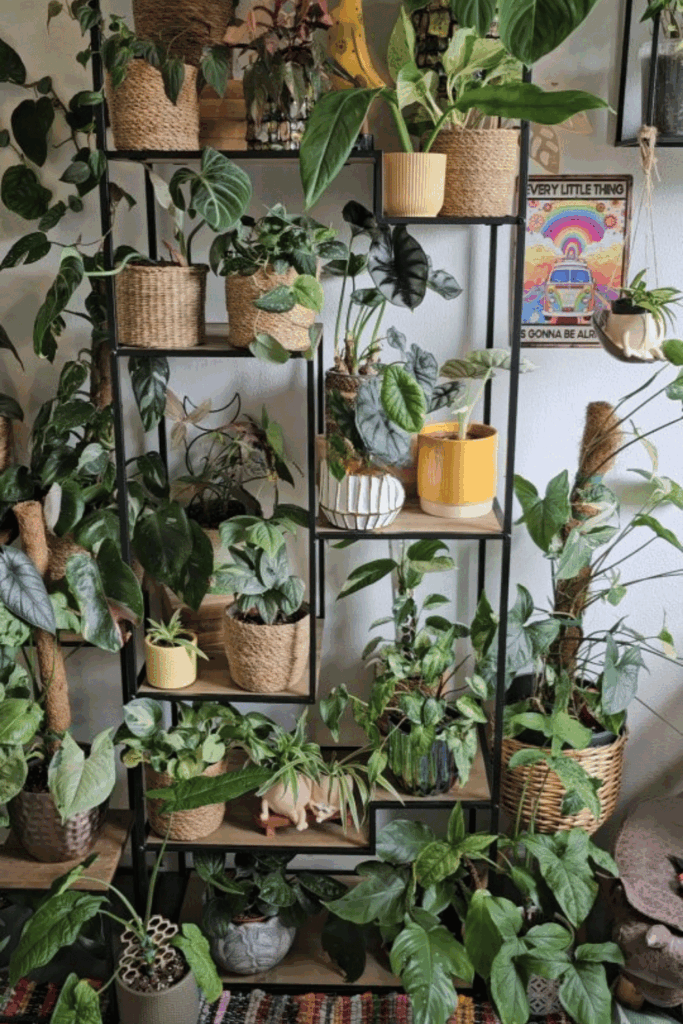 plant wall shelf ideas