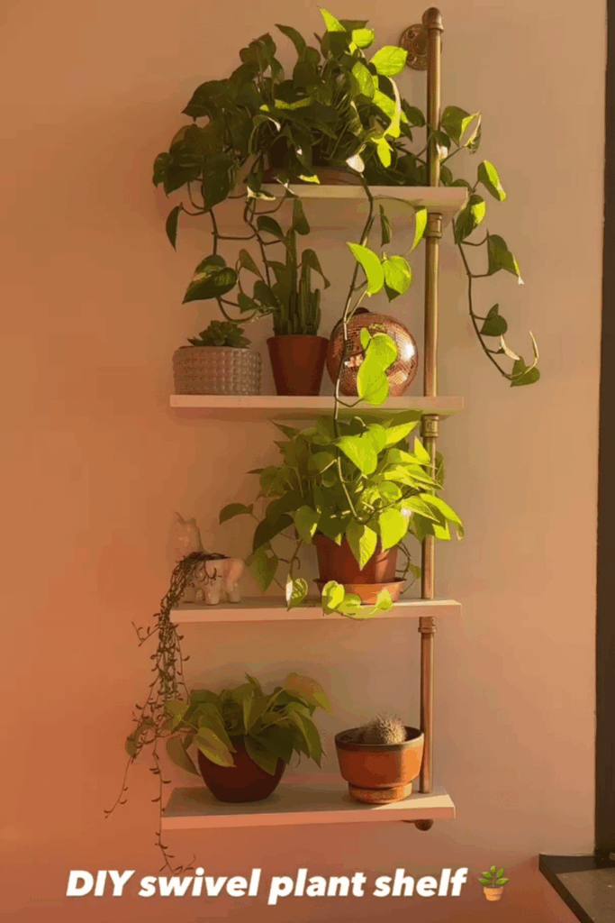 plant wall shelf ideas