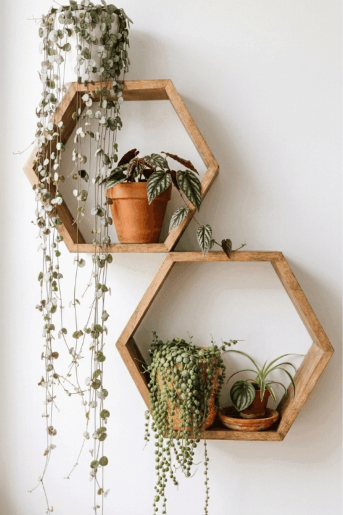 plant wall shelf ideas
