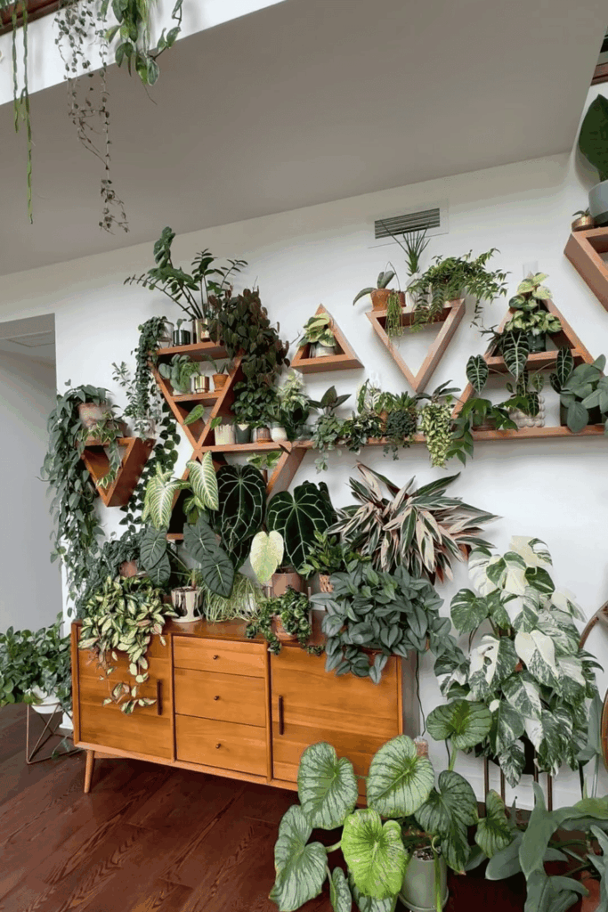 plant wall shelf ideas