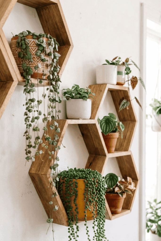 plant wall shelf ideas
