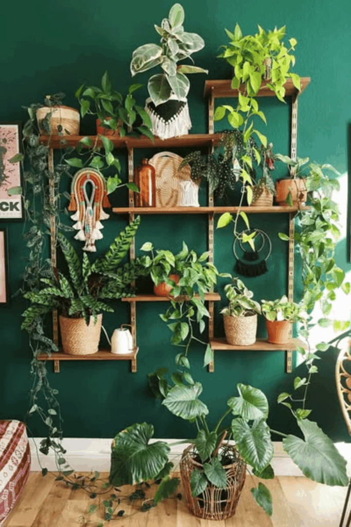 plant wall shelf ideas