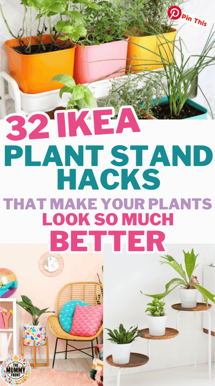 Image for 33 IKEA Plant Hacks Every Plant Lover Will Want To Try